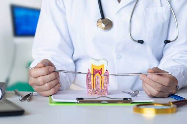 Best Emergency Dental Surgery in Garland, TX